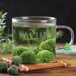 Alternative view of Nụ Hoa Tam Thất Sấy Khô Tự Nhiên Loại Đẹp Nguyên Nụ Không Vụn