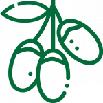icon kỷ tử