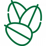 icon yến mạch cán vỡ