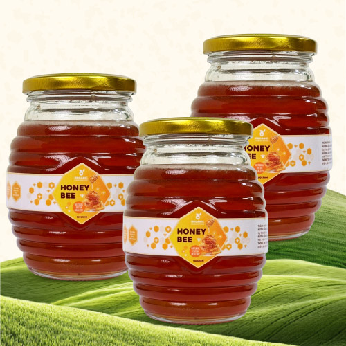 Mật ong rừng hoa cà phê