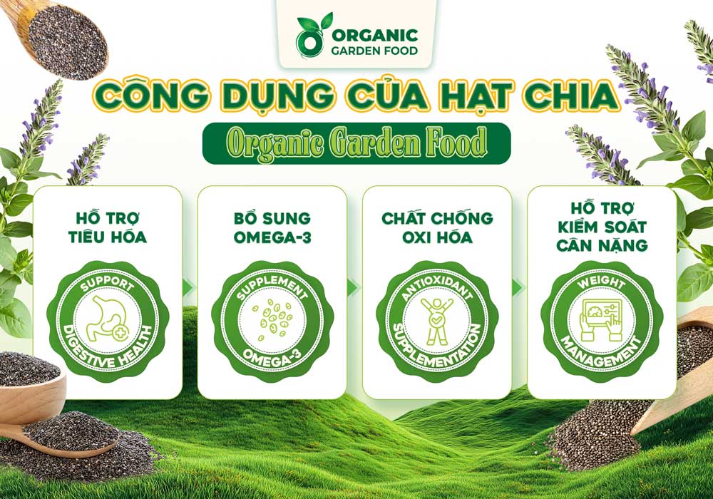 Hạt Chia Ấn Độ Organic Garden Food - thực phẩm giàu Omega-3 và chất xơ - Ảnh 5