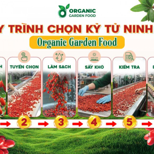 Kỷ Tử Ninh Hạ Organic Garden Food - Ảnh 4