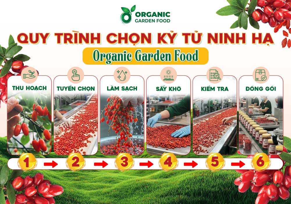 Kỷ Tử Ninh Hạ Organic Garden Food - Ảnh 4